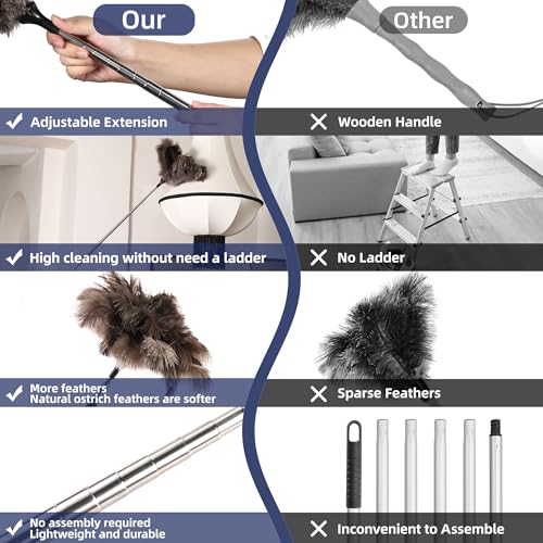 Extendable Ostrich Feather Duster with 40-Inch Stainless Steel Pole
