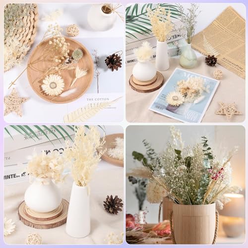 Natural Real Dried Flowers Set for DIY Resin Crafts, Jewelry & Candles