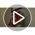 24-Inch Pre-Lit Christmas Teardrop Swag with Fairy Lights & Pine Cones