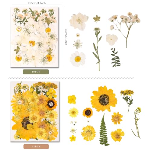 330PCS Natural Pressed Dried Flowers and Leaves Set with Tweezers