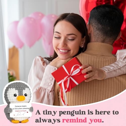 Handmade Crochet Penguin Gift for Long Distance Relationship Couples