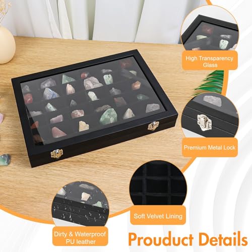 Rock Collection Display Case with 36 Adjustable Grids and Transparent Lid
