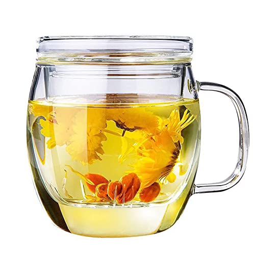 17 oz Glass Tea Cup with Infuser & Lid - Clear Loose Leaf Mug for Hot & Cold Beverages