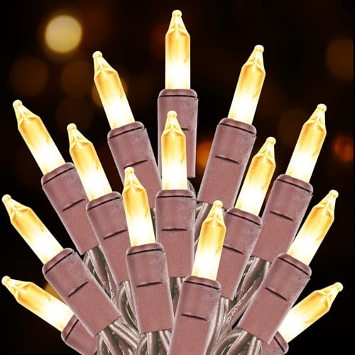 Chatool 100 Count Warm Brown Christmas Lights on Brown Wire, 21ft - Connectable