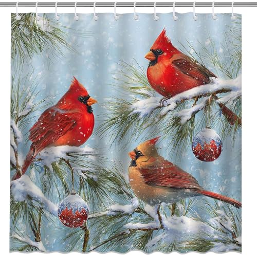 Christmas Red Bird Shower Curtain - Winter Robin & Cardinal Bathroom Decor, 72x72 Inches with Hooks