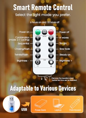 Minetom 33 ft 100 LED USB Fairy Lights with Remote and Timer