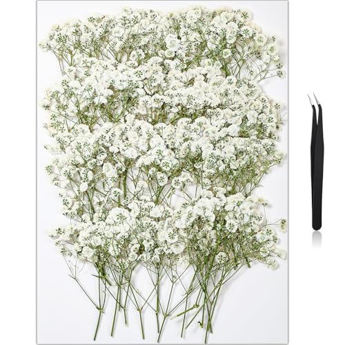 56 Pcs Natural Dried Baby's Breath Pressed Flowers for DIY Crafts & Resin Art
