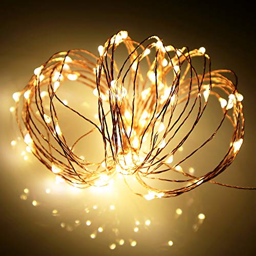 Ariceleo LED Fairy Lights Battery Operated 16ft Warm White