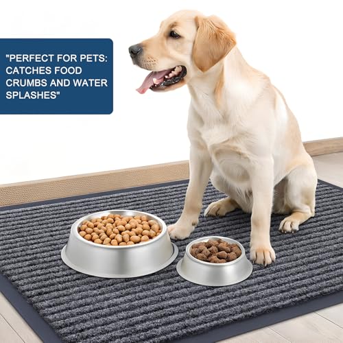 Heavy-Duty Front Door Mats 2-Pack - 29.5"x17" Non-Slip Indoor Outdoor Doormats