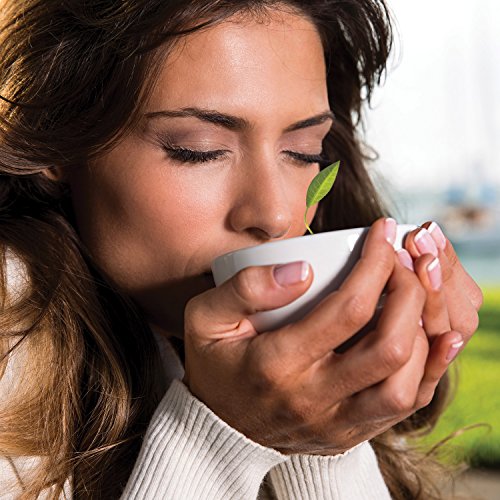 Tea Forte White Porcelain Café Cup with Lid - 8oz Tea Mug & Infuser Cover