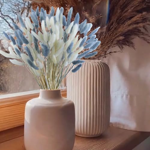 120pcs Dried Bunny Tails Flowers, 17-Inch Natural Lagurus Ovatus Stems