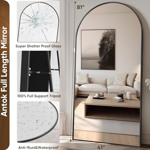81" x 41" Arched Full Length Floor Mirror with Stand, Shatter-Proof Black