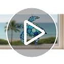 Sea Turtle Ornament, Acrylic Faux Stained Glass Coastal Christmas Decor