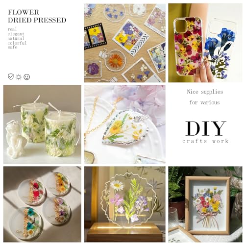 133Pcs Real Dried Pressed Flowers and Leaves for Resin Art and Jewelry