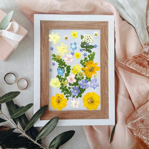 34Pcs Real Pressed Dried Flowers and Leaves for Resin Art and DIY Crafts