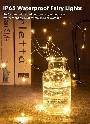 Brightown 12 Pack 7ft Battery Operated LED Fairy Lights Warm White
