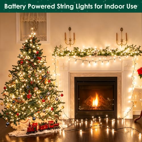 FairyGlim 2-Pack 20ft Battery Christmas String Lights 60 LEDs Warm White