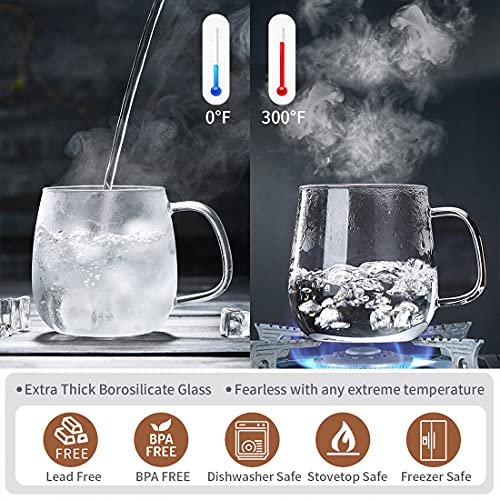 DOPUDO 17.6oz Borosilicate Glass Tea Cup with Infuser & Lid - Microwave Safe
