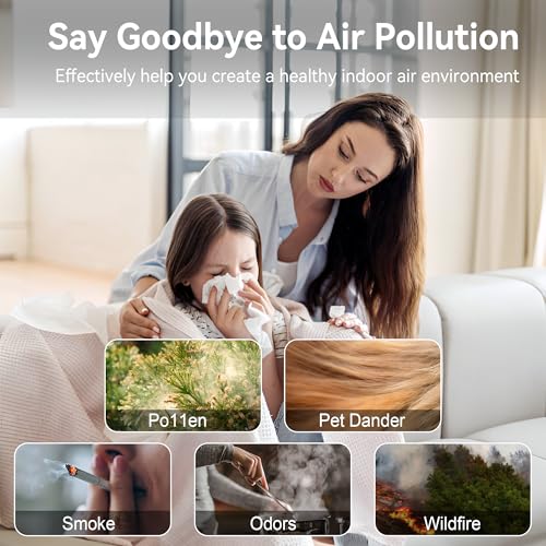 Large Room Air Purifier for Home with H13 HEPA Filter, Black