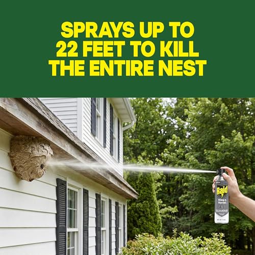 Raid Wasp & Hornet Killer Spray, Bug Kills the Entire Nest, 14 Oz, 2