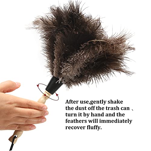 14-Inch Natural Ostrich Feather Duster with Wooden Handle & Hanging Loop