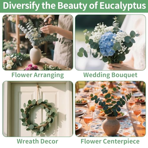 12-Piece Natural Dried Eucalyptus Stems (17 Inch) for Shower & Home Decor