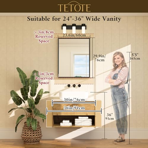 24" x 30" Brushed Nickel Bathroom Vanity Mirror - Beveled Frame