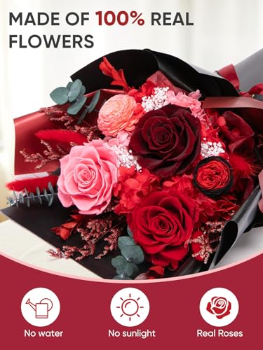 Preserved Red Rose Bouquet - Real Forever Flowers Gift Set with Vase