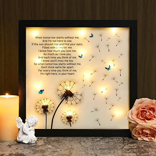 LED Memorial Shadow Box Sympathy Gift with Dandelion Print 11x11