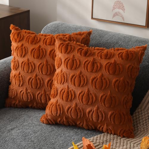 Fall Pillow Covers 18x18 Set of 2 - Soft Plush Rust Pumpkin Cushion Cases