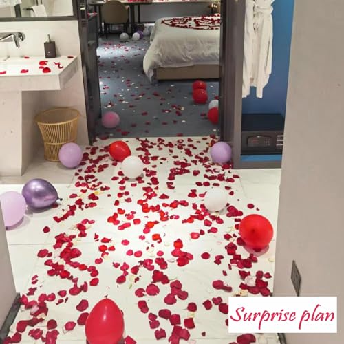 2200 Pcs Dark Red Silk Rose Petals for Romantic Night & Wedding Decor