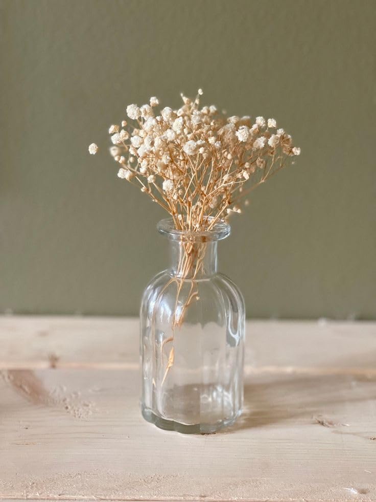 120 Pcs Mini Dried Baby's Breath Flowers, Ivory Gypsophila for DIY Crafts