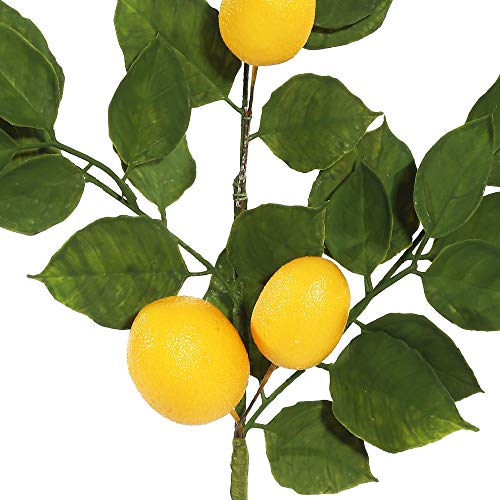 Vickerman 6' Green & Yellow Salal Lemons Garland - Realistic 14 Lemons, 52 Branches, Indoor Use