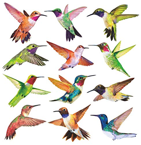 Hummingbird Window Clings - Set of 12 Anti-Collision Decals