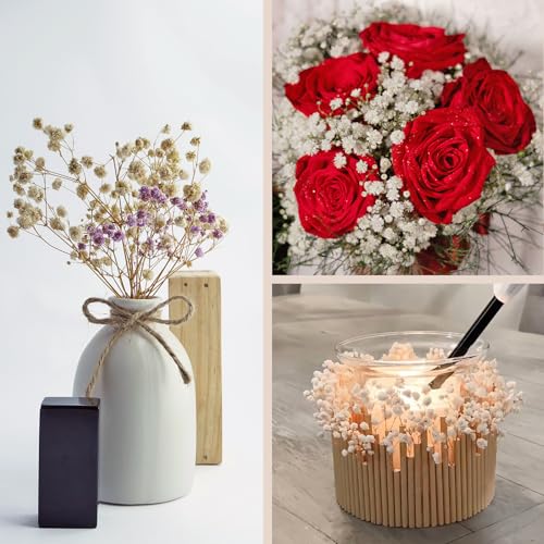 Preserved Dried Baby's Breath Bouquet - 7-inch Natural White Gypsophila