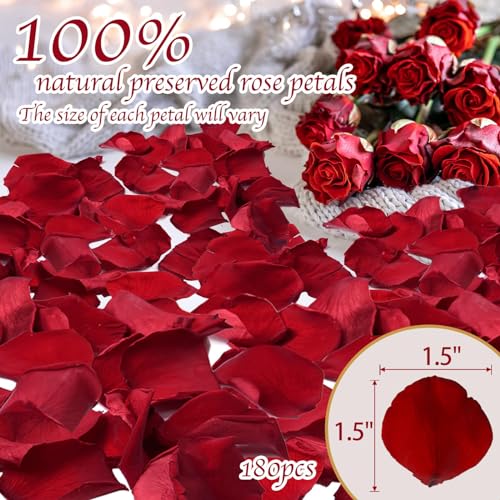 180 Real Preserved Red Rose Petals for Romantic Decor and Wedding Confetti