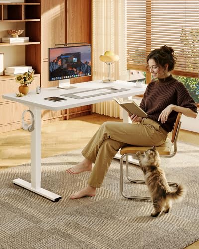 48-Inch Electric Standing Desk with 4 Memory Presets, White