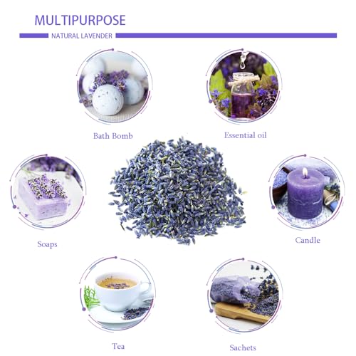 2 lbs Dried Lavender Buds - Ultra Blue Natural Culinary Grade Flowers