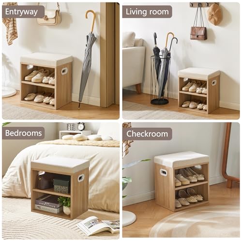 Small Shoe Storage Bench with Padded Cushion, 2-Tier Entryway Shoe Rack