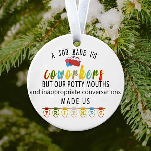 Zeptrix Christmas Ornaments 2026 – Coworkers Appreciation Gift, Funny Office Tree Decor, Thank You Gift