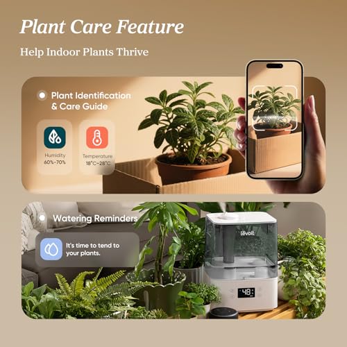 Smart Cool Mist Humidifier for Bedroom Large Room 6L 60H Runtime