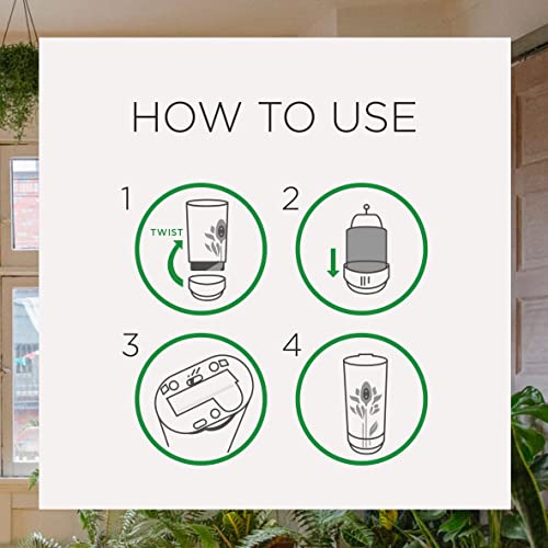 Automatic Air Freshener Spray Refill - Lush Honeysuckle & Raspberry Scent