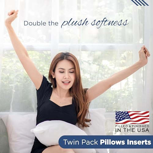 22x22 Decorative Throw Pillow Inserts, Plush Polyester Fill, 2-Pack