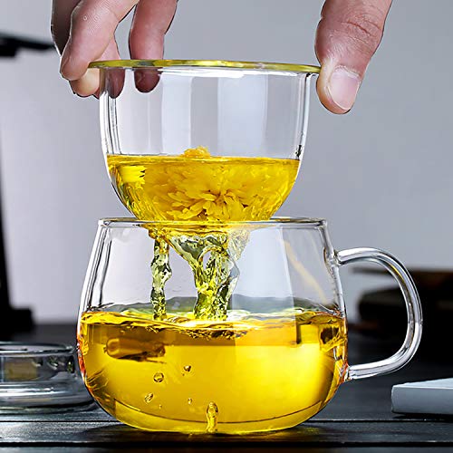 13oz Clear Glass Tea Infuser Cup with Filter Basket & Lid - Leakproof & Heat-Resistant