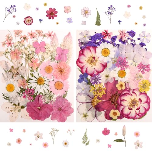 182 PCS Real Pressed Dried Flowers and Leaves Set with Tweezers for DIY Crafts