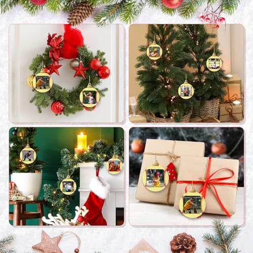 Vercraft Softball Christmas Ornament Set with Photo Frames & Greeting Cards