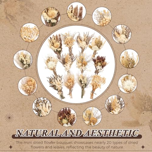 24 Pcs Mini Dried Flower Bouquets, Natural Boho Floral Decor for Weddings