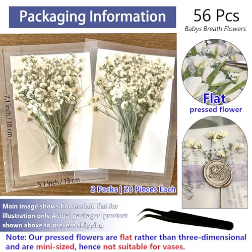 56 Pcs Natural Dried Baby's Breath Pressed Flowers for DIY Crafts & Resin Art