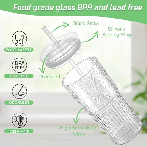 20oz Glass Tumbler Set with Lids and Straws - 2 Pack Borosilicate Cups