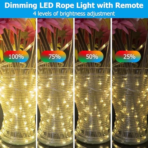100ft Outdoor LED Rope Lights, IP68 Waterproof 25 Color Changing String Lights